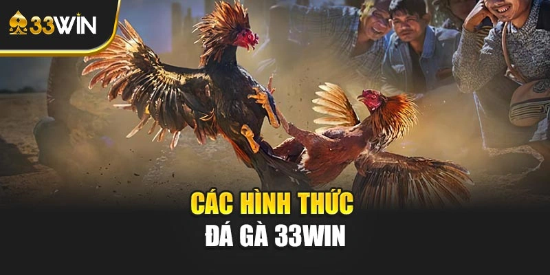 Các hình thức đá gà 33WIN
