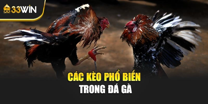 Các kèo phổ biến trong đá gà