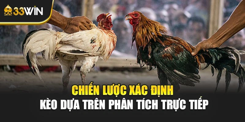 Chiến lược xác định kèo dựa trên phân tích trực tiếp
