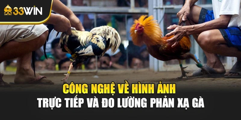 Công nghệ về hình ảnh trực tiếp và đo lường phản xạ gà