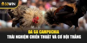 Đá Gà Campuchia – Trải Nghiệm Chiến Thuật Và Cơ Hội Thắng