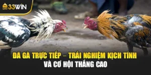Đá Gà Trực Tiếp – Trải Nghiệm Kịch Tính Và Cơ Hội Thắng Cao