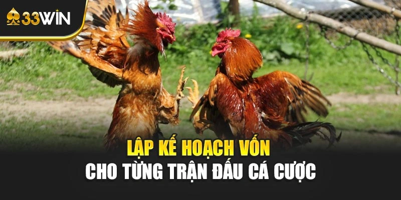 Lập kế hoạch vốn cho từng trận đấu cá cược