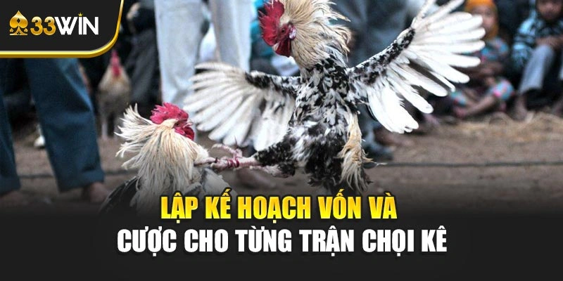 Lập kế hoạch vốn và cược cho từng trận chọi kê