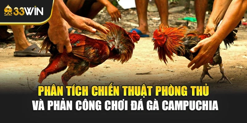 Phân tích chiến thuật phòng thủ và phản công chơi Đá gà Campuchia