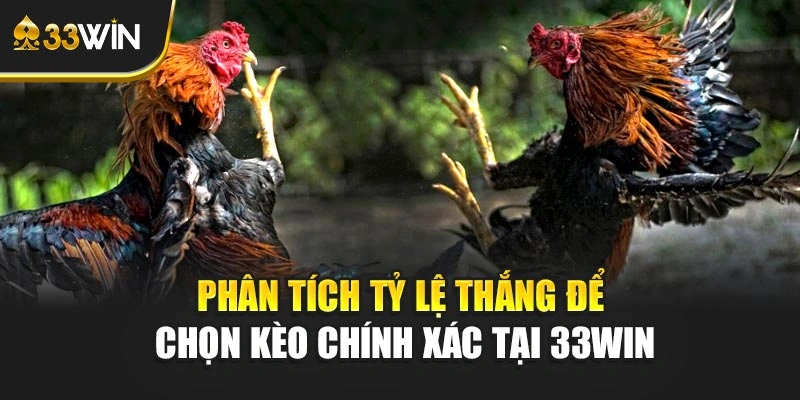 Phân tích tỷ lệ thắng để chọn kèo chính xác tại 33WIN