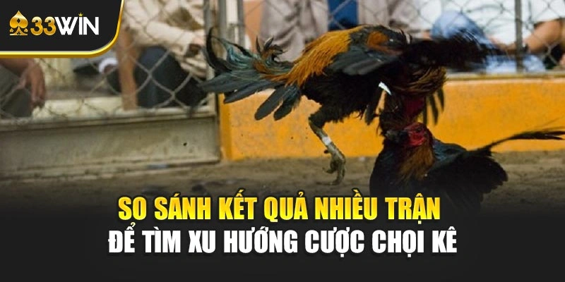 So sánh kết quả nhiều trận để tìm xu hướng cược chọi kê