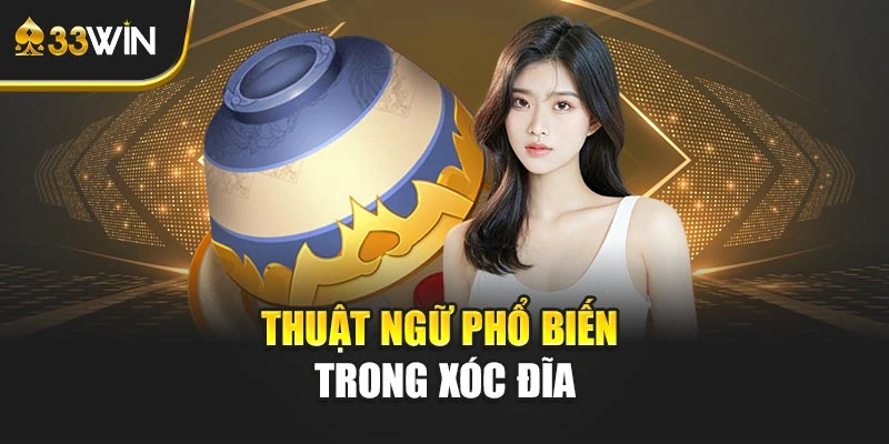 Thuật ngữ phổ biến trong xóc đĩa