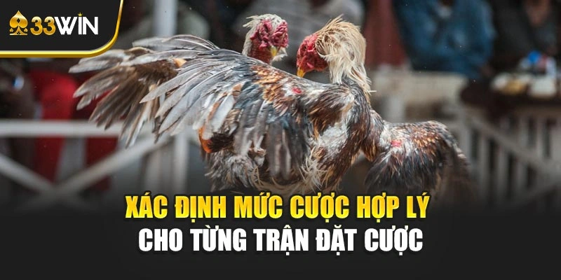 Xác định mức cược hợp lý cho từng trận đặt cược