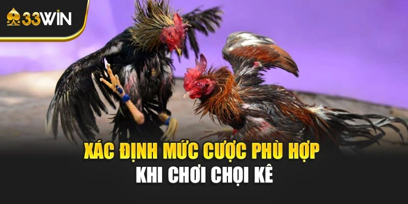 Xác định mức cược phù hợp khi chơi chọi kê
